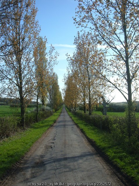 photo from https://www.geograph.org.uk/photo/2352572